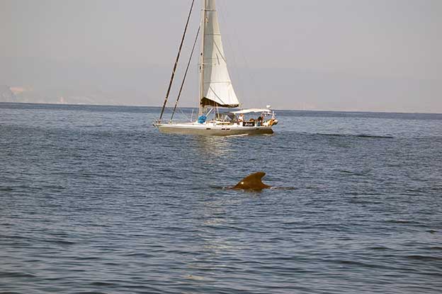 A toda vela_72