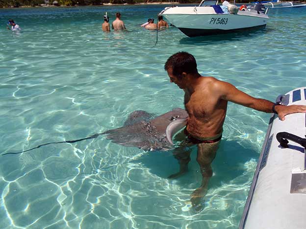 Moorea_1