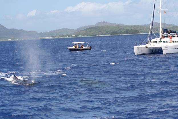 Tahaa_12