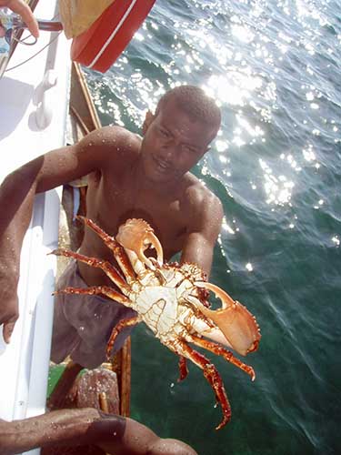 Islas del Rosario_9