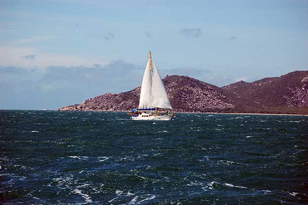 A toda vela_89