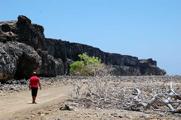 Bonaire_26