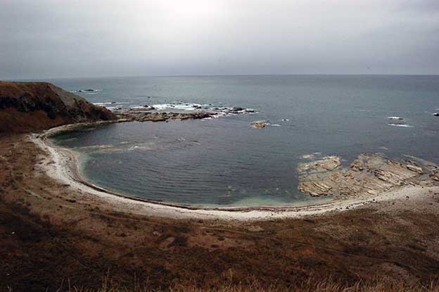 Kaikorua_15
