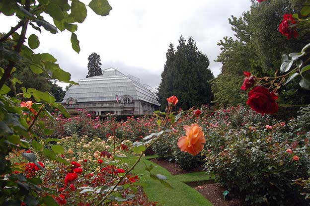 Christchurch_18