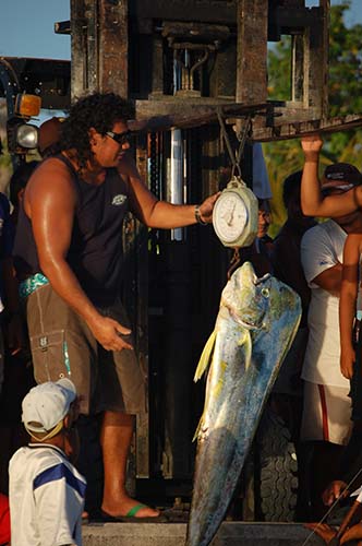 Tuamotu_11