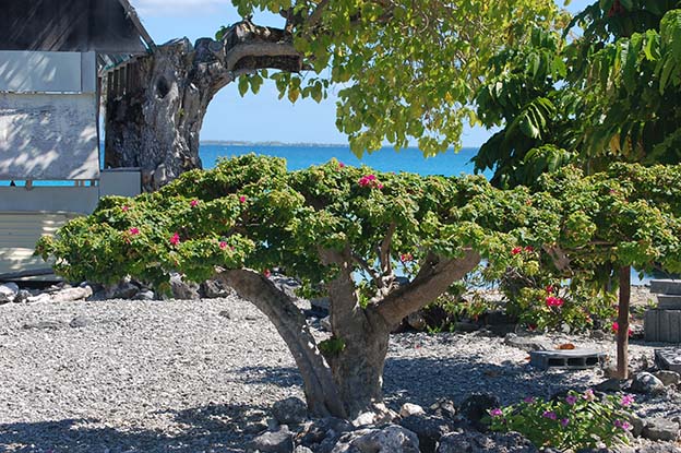 Tuamotu_17