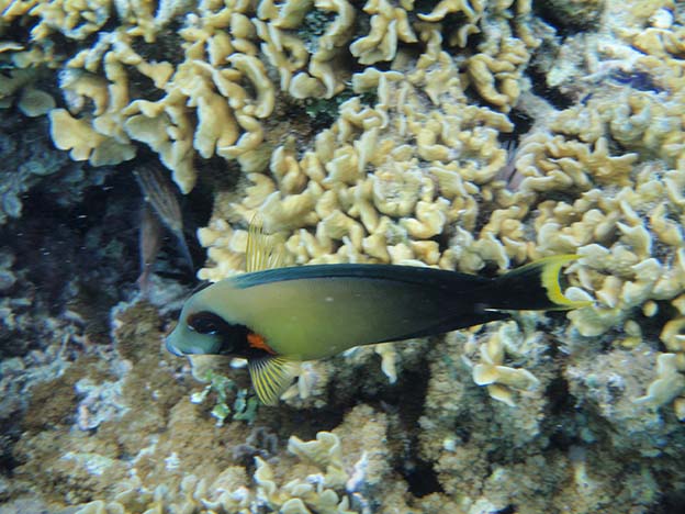 Bora Bora_28