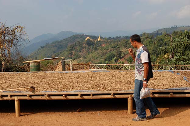 Chiang Mai_84
